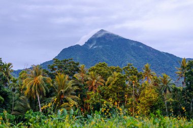 Yeşil çimenli dağ manzarası ve akşam ışığında güneş ışığı