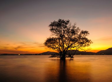 Deniz günbatımı sırasında. Klong Mudong, Phuket Tayland
