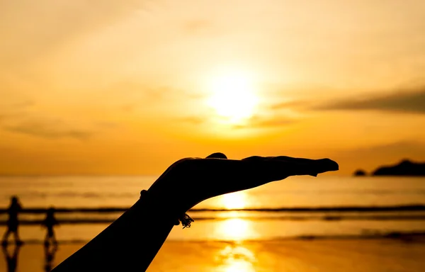 Hand with sunset — Stock Photo, Image