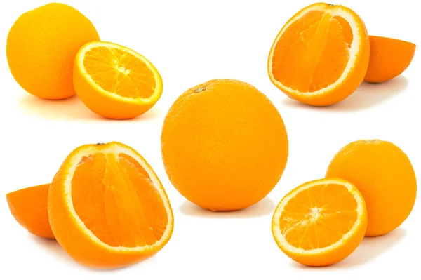 Orangenfruchtset — Stockfoto