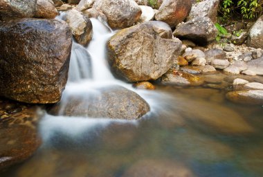 Şelale, güzel doğa