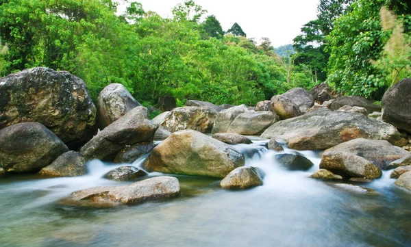 Cachoeira, bela natureza — Fotografia de Stock