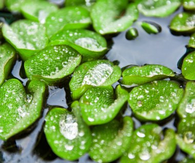 Soyut tasarım için