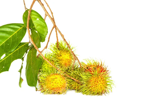 Fresh rambutan — Stock Photo, Image