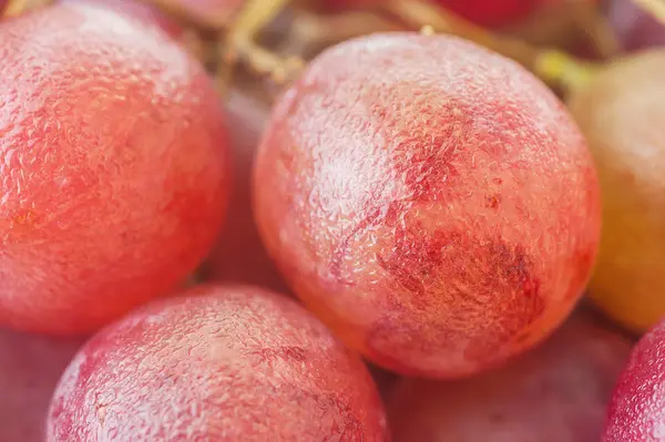 Kırmızı üzüm izole makro