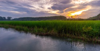 Pirinç alan gündoğumu veya günbatımı futbol ışık ile