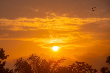 Bulut gökyüzünün soyut ve şablonu sakin mercan, turuncu, yılın trend rengi, renkli bulut deseni ve gökyüzü gün batımı ya da gün doğumu: Alacakaranlıkta dramatik gün batımı, gökyüzünün güzelliği
