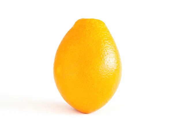 Orangenscheibe Stockbild