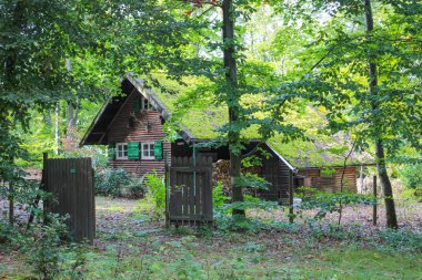 ahşap kulübe ağaçlarıyla çevrili