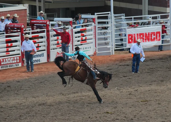 Rodeo de caballos en estampida calagar — Foto de Stock