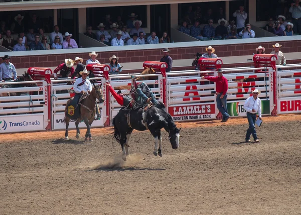 Rodeo senza sella su un cavallo al calagary affrettato — Foto Stock