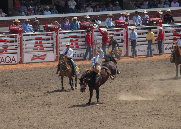 Bez sedla koně rodeo na calagary úprk — Stock fotografie