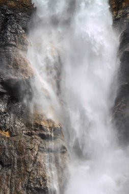 Cadılar Bayramı Balkabağı karanlıkta