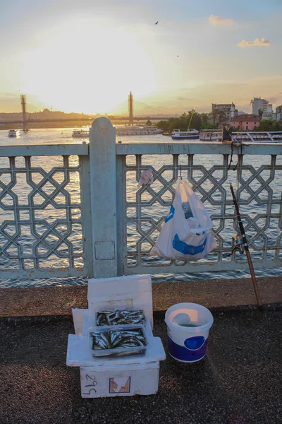 istanbul'da galata Köprüsü'nde balık yakalamak
