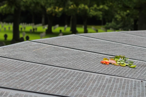 Dead rose lying on roll of honor overlooking cemetary — Stock Photo, Image