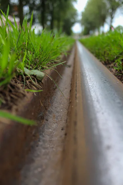 tramvay parça çimen tarafından çevrili ve ağaçlar içinde odaklanmış, closeup 