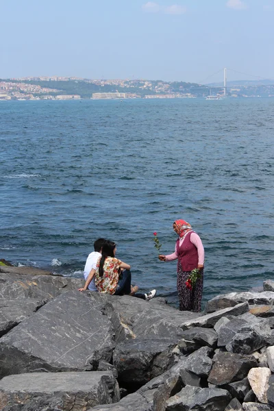 Yaşlı Bayan gül istanbul (P'okyanus ön satış)