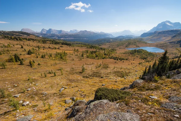 panoramik bir göl ve dağların Alberta, Kanada