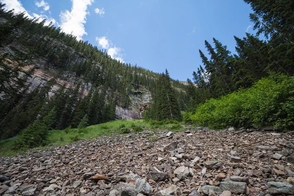 looking up a mountain with trees and gravel