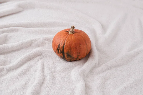 Halloween Natural Pumpkin Cream Soft Blanket Minimal Creative Holiday Concept — Stock Photo, Image