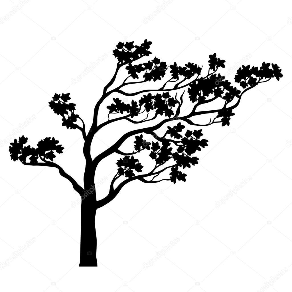 Siluetta dell albero di sakura Bianco e nero isolato Un albero in fiore per i disegni di primavera Stilizzato disegno ciliegio cinese