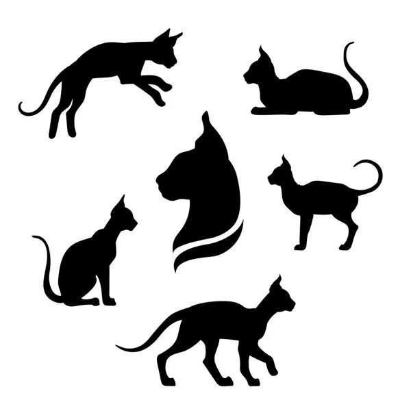Ícones de gato de esfinge e silhuetas . — Vetor de Stock