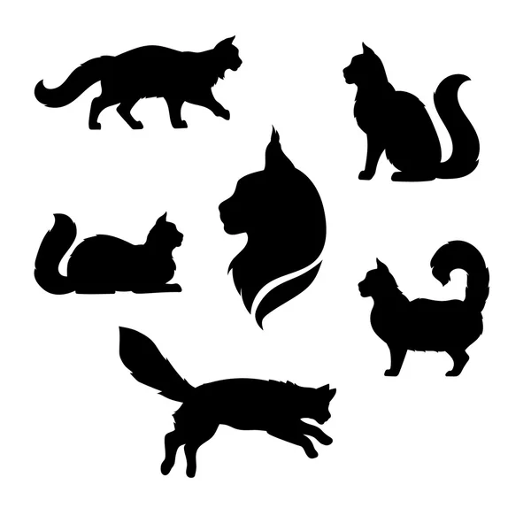 Maine Coon kat pictogrammen en silhouetten. — Stockvector