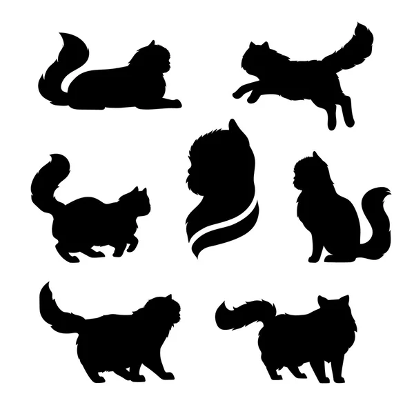 Iconos y siluetas de gato persa . — Vector de stock