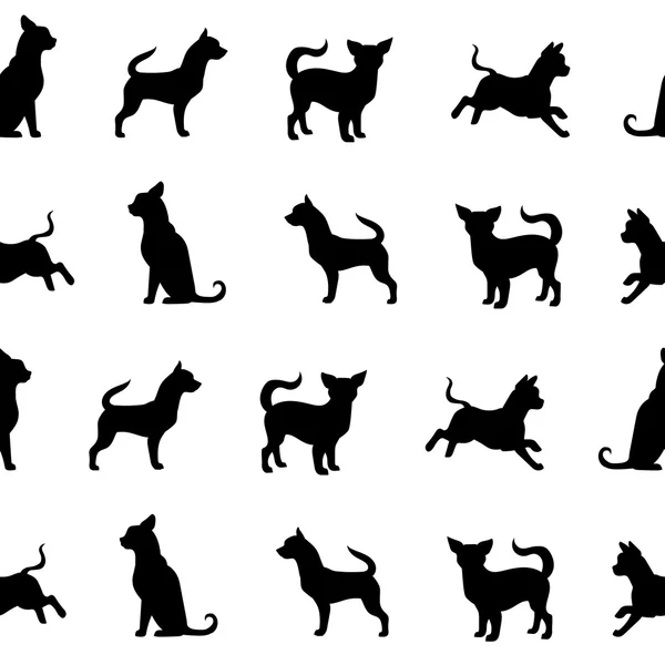 Vector chihuahua small dog seamless pattern. — Stock Vector