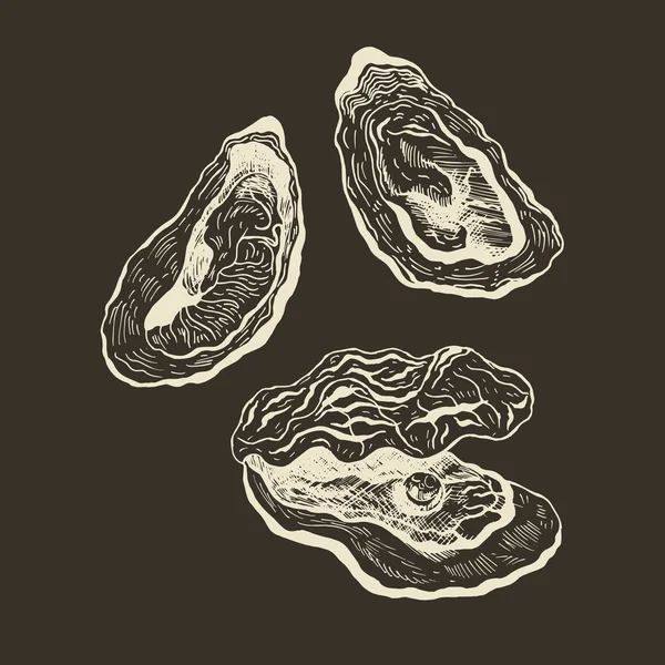 Oesters vintage vector set. — Stockvector