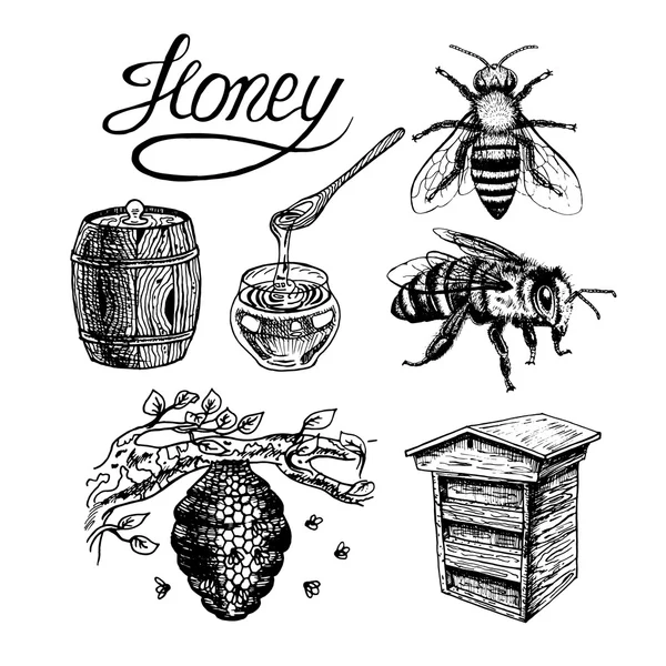 Honey vintage vektorové sada — Stockový vektor