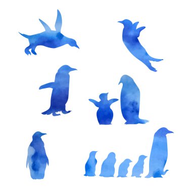 Suluboya penguen kümesi