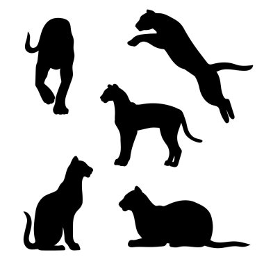 Ocelot vektör ayarla