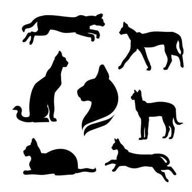 Serval vektör ayarla