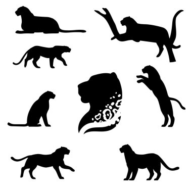 Leopar vektör ayarla