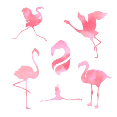 Flamingo vektör ayarla