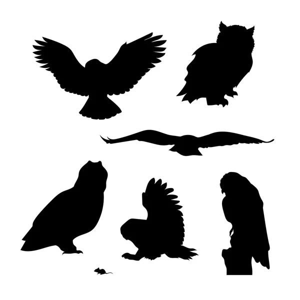 Owl set vector — Stock Vector