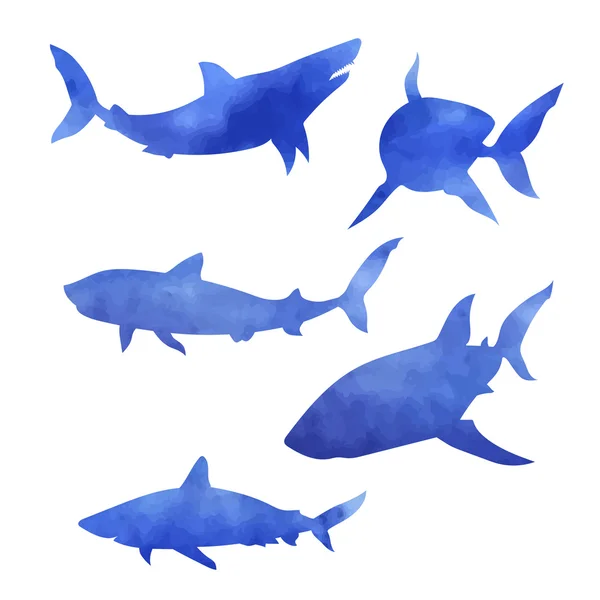 Set van aquarel haai — Stockvector