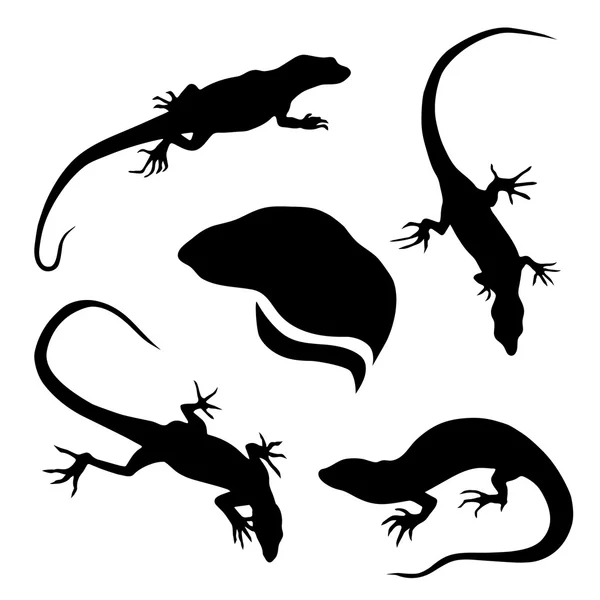 Lizard set vector — Stock Vector
