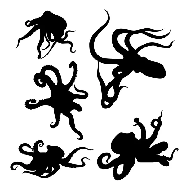Octopus set vector — Stock Vector