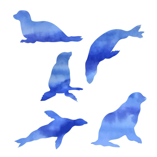 Набір акварельних тюленів — стоковий вектор