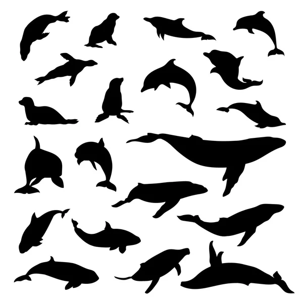 Set of marine mammals vector — Stock Vector