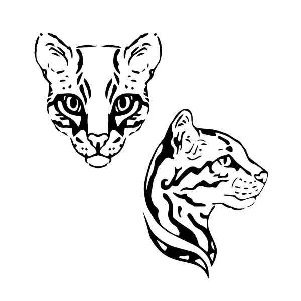 Ocelot set vector — Stock Vector