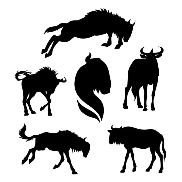 Vektor set Wildebeest - Stok Vektor