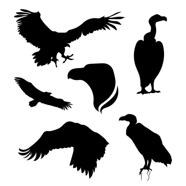 Avvoltoio vettore impostato — Vettoriale Stock