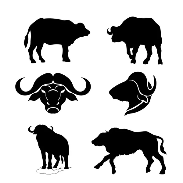 Set vector búfalo — Archivo Imágenes Vectoriales