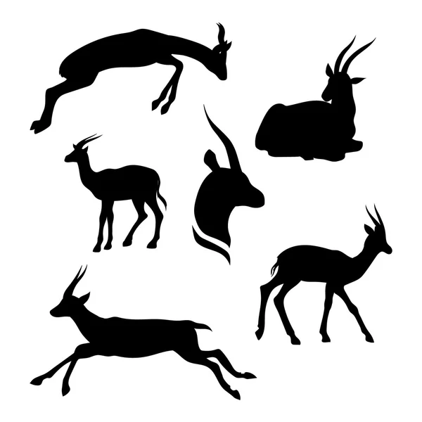 Gazelle set vector — Stock Vector