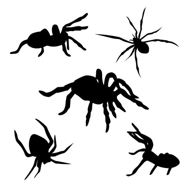 Spinnenset-Vektor — Stockvektor