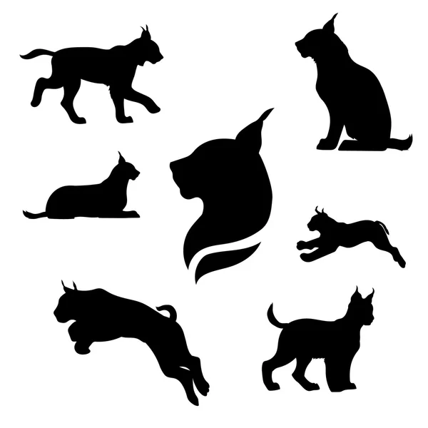 Lynx set vector — Stock Vector