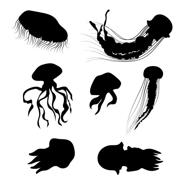 Jellyfish set vector — Stock Vector
